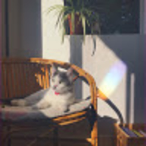 Meet your Posher, Alice - Picture 1 of 1